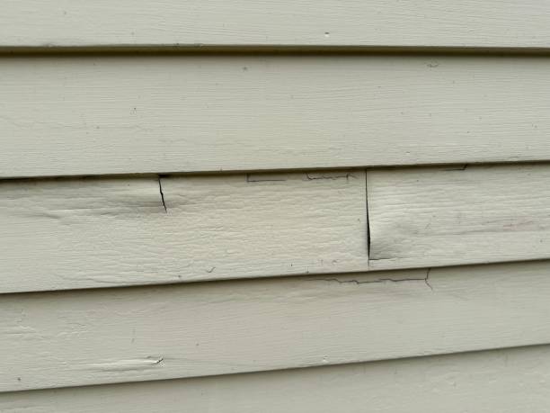 Trusted Arlington, NE Junk Removal Experts